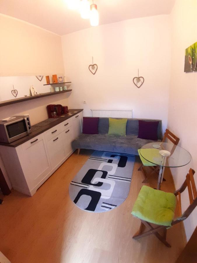Studio La Stefy Apartment Sibiu Exterior photo
